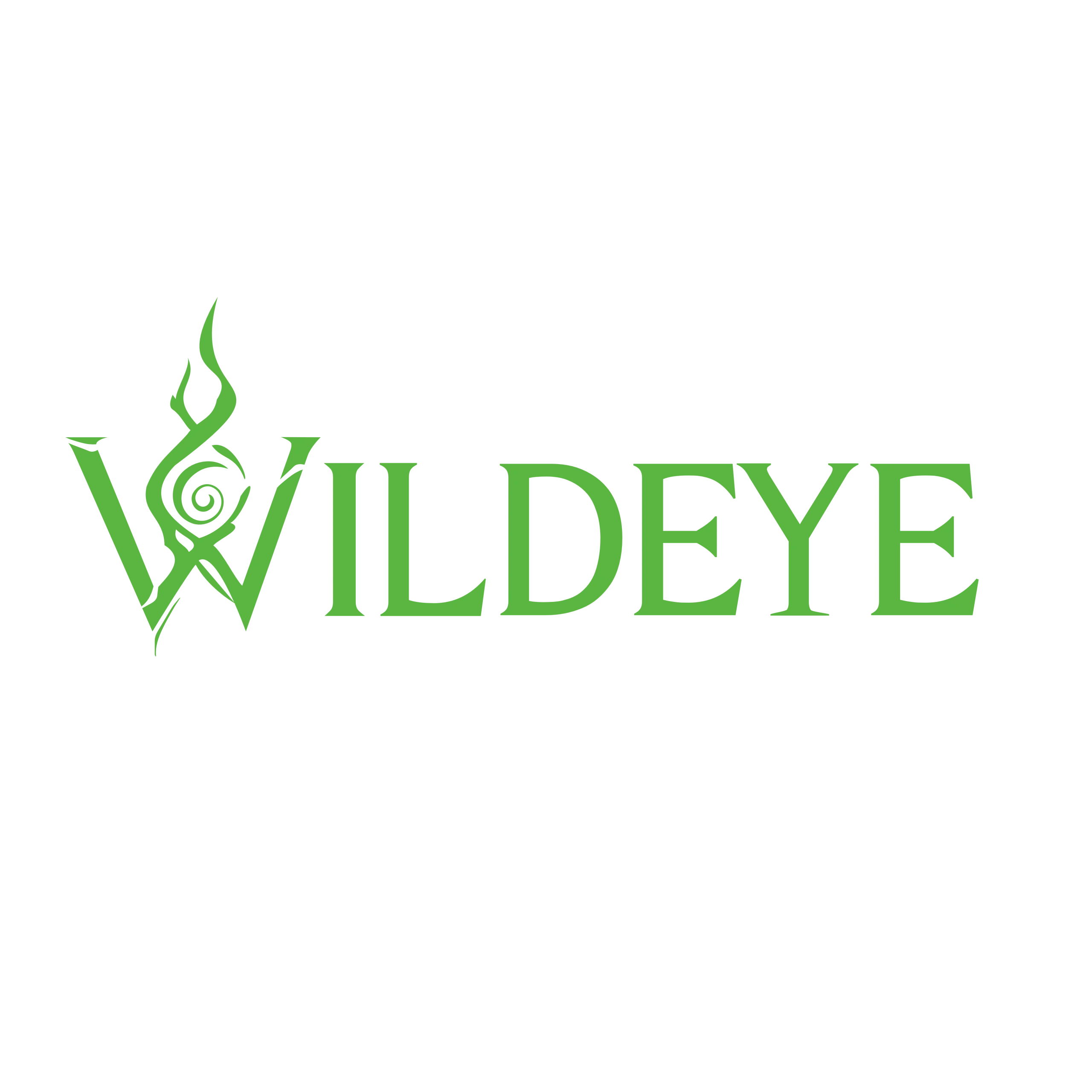 Wildeye